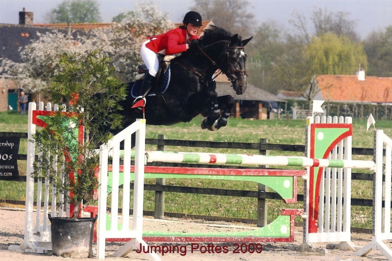 Cyclus Jonge paarden Ternat